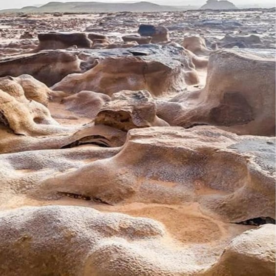 Picture 2 for Activity 1 day excursion From Djerba/Zarzis To Tataouine