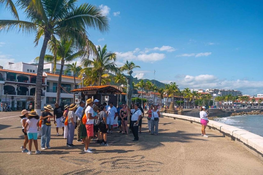 Picture 1 for Activity Mexico: Puerto Vallarta City Tour