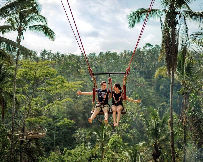 Picture 2 for Activity Bali: Swing with Falls, Rice Terrace, & Monkey Forest Option