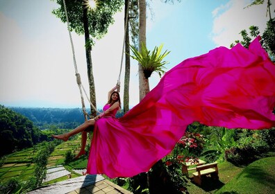 Bali: columpio con cascadas, terraza de arroz y opción de bosque de monos