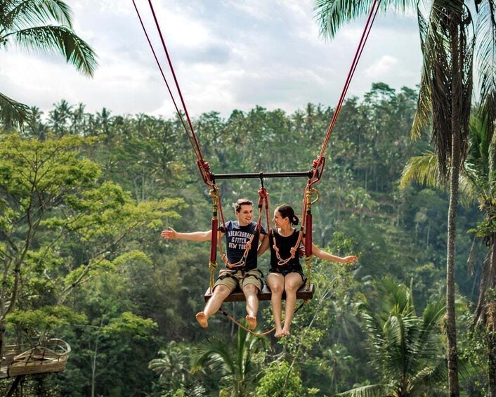 Picture 2 for Activity Bali: Swing with Falls, Rice Terrace, & Monkey Forest Option