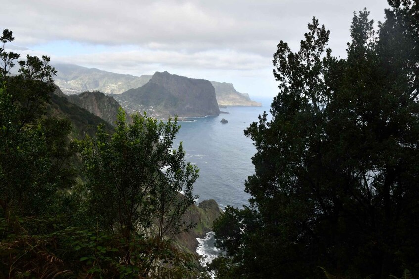 Picture 1 for Activity Vereda do Larano (Larano Hike) by Overland Madeira