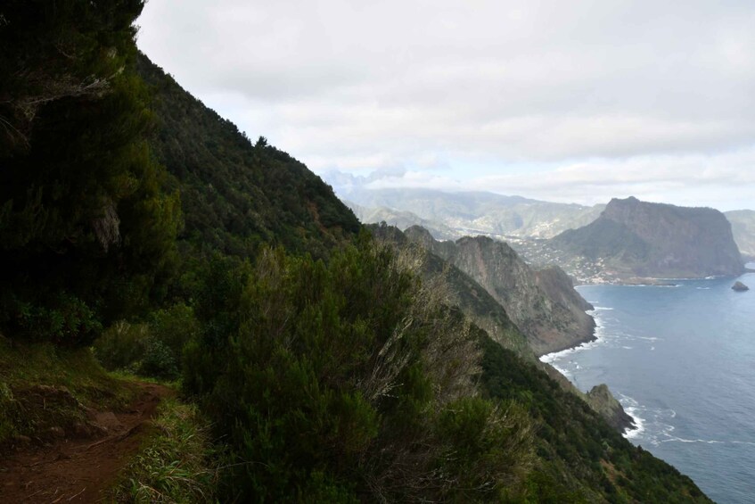 Picture 4 for Activity Vereda do Larano (Larano Hike) by Overland Madeira