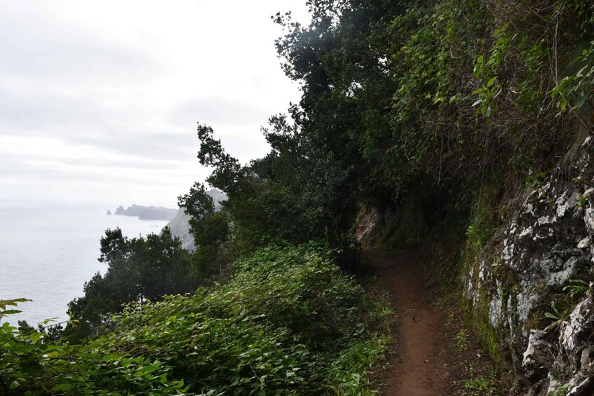 Picture 5 for Activity Vereda do Larano (Larano Hike) by Overland Madeira