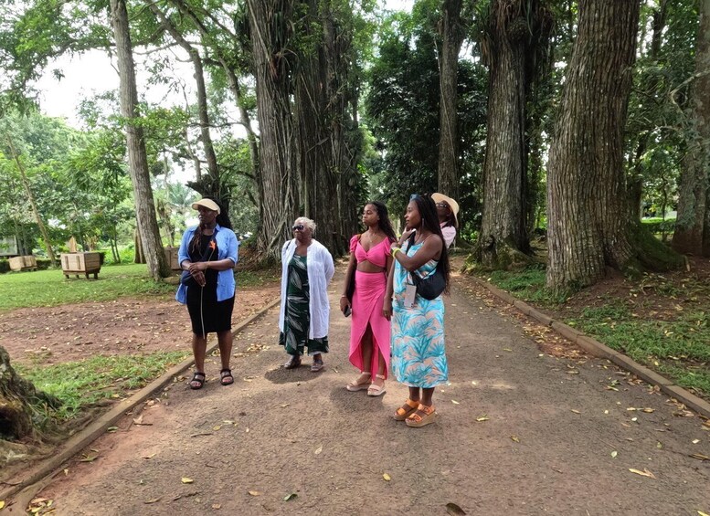 Picture 1 for Activity Aburi Gardens and Cocoa Farm Day Trip