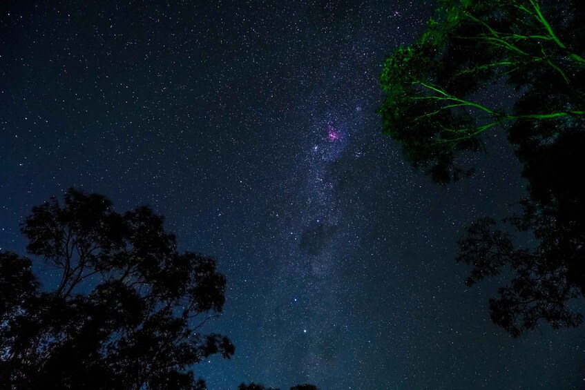 Picture 9 for Activity Blue Mountains: Stargazing with a Telescope and Astronomer