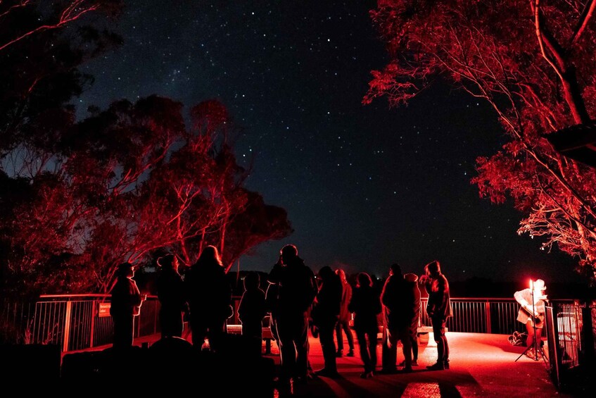 Picture 6 for Activity Blue Mountains: Stargazing with a Telescope and Astronomer