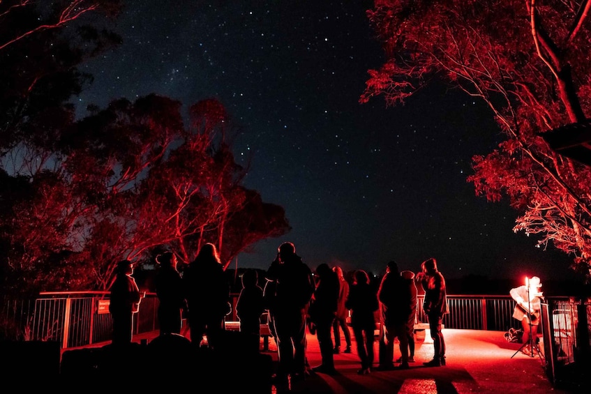 Picture 6 for Activity Blue Mountains: Stargazing with a Telescope and Astronomer