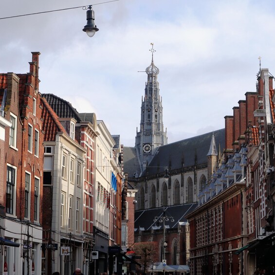 Picture 2 for Activity Haarlem: Small Group City Walking Tour