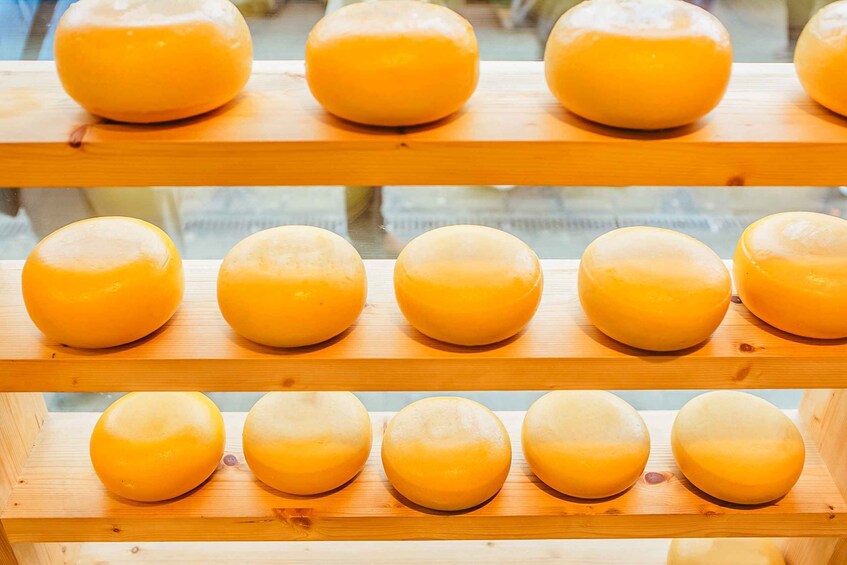 Picture 6 for Activity Amsterdam: Henri Willig Cheese Tasting Experience