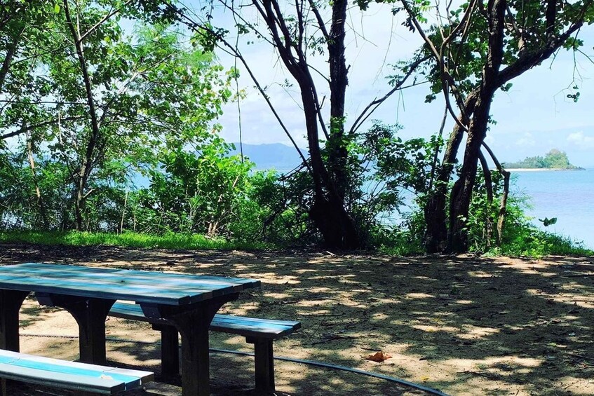 Picture 9 for Activity Dunk Island Day Tour | Cairns Day Return