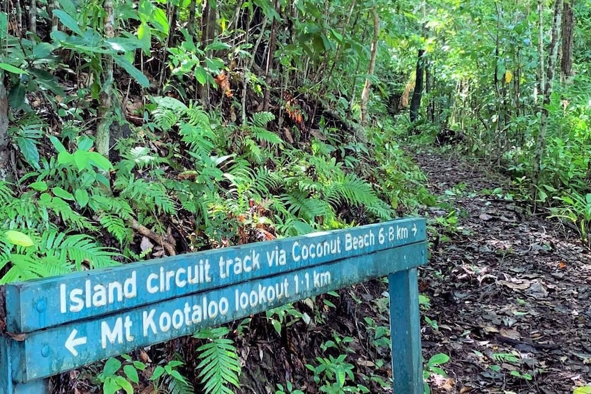 Picture 7 for Activity Dunk Island Day Tour | Cairns Day Return