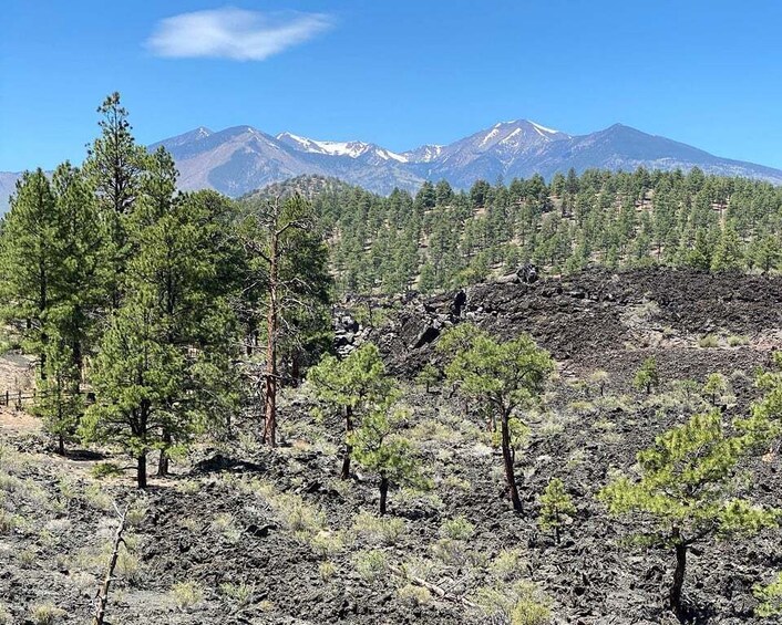 Picture 5 for Activity Flagstaff: Grand Canyon, Wupatki & Volcano Christian Tour