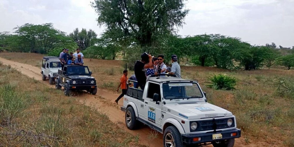 Picture 2 for Activity From Jodhpur : Transfer To Ranthmbore