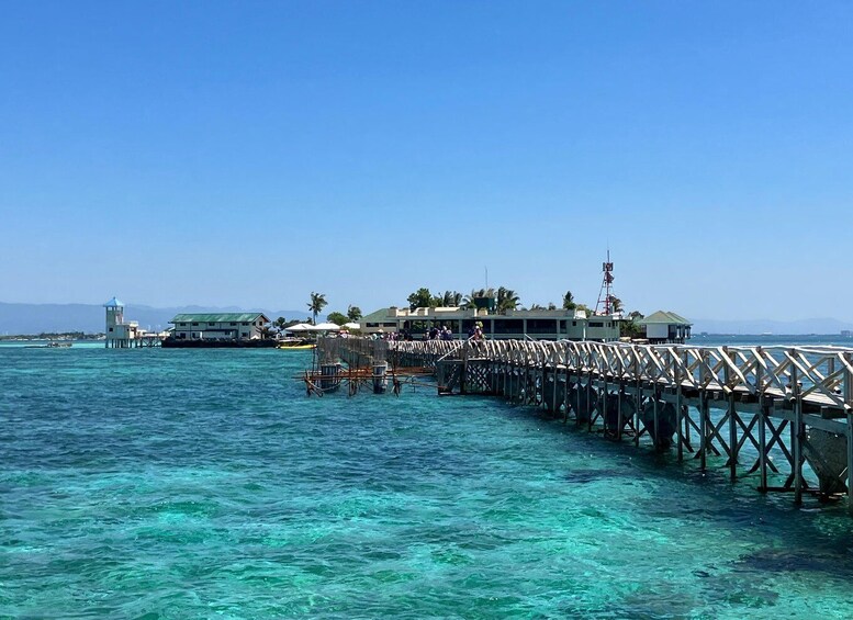 Picture 10 for Activity From Cebu: Island Hopping to 3 islands with BBQ lunch