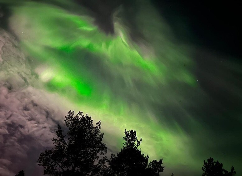 Picture 6 for Activity From Kiruna: Abisko National Park Northern Lights Tour