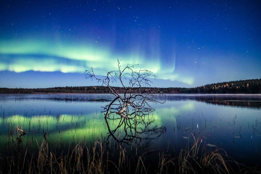 Picture 1 for Activity Rovaniemi: Autumn Northern Lights Hunting by Car