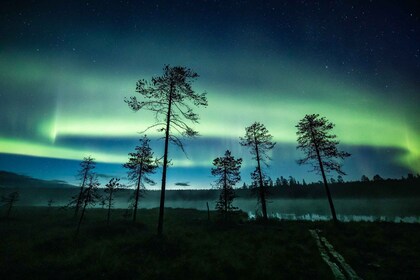 Rovaniemi : Chasse aux aurores boréales en automne en voiture