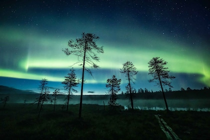 Rovaniemi: Caza de auroras boreales otoñales en coche