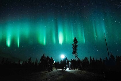 羅瓦涅米：秋季北極光騎行之旅