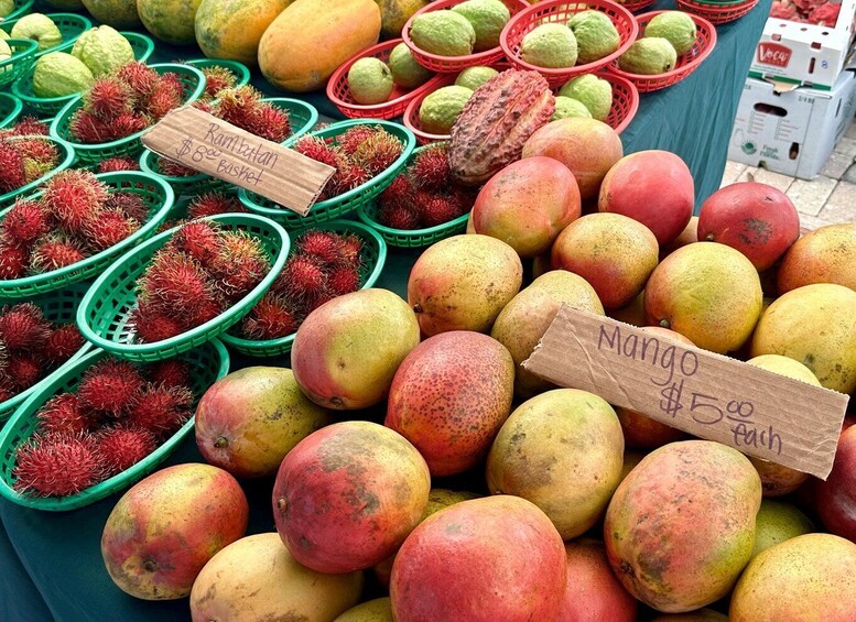 Picture 3 for Activity West Palm Beach: Mornings in the Market Food Tour