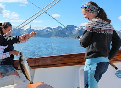 From Svolvær: Taste of Lofoten - Cultural Fishing Experience