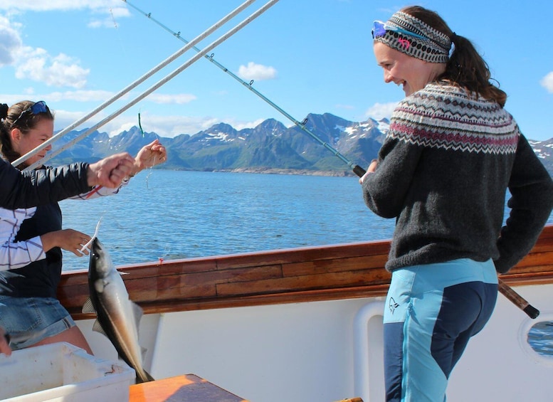 From Svolvær: Taste of Lofoten - Cultural Fishing Experience