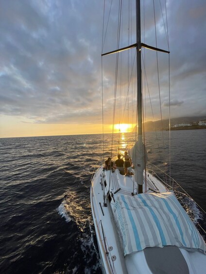 Picture 2 for Activity Sunset on a sailing boat