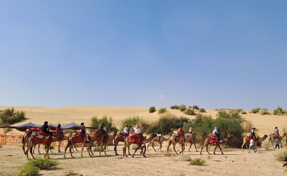 Picture 6 for Activity Desert Rose Jaisalmer: Luxury Tent In Thar Desert