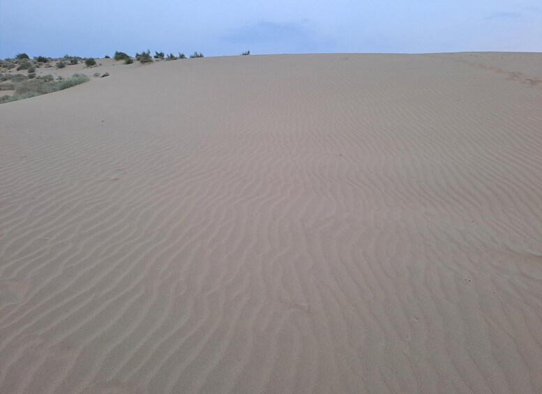 Picture 24 for Activity Desert Rose Jaisalmer: Luxury Tent In Thar Desert