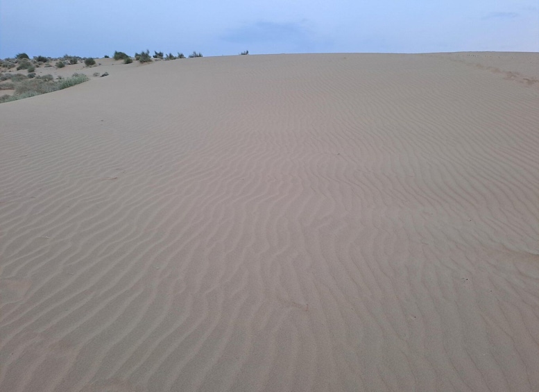 Picture 24 for Activity Desert Rose Jaisalmer: Luxury Tent In Thar Desert