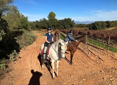 Mallorca: Activity with Horses, Antique Mallorca