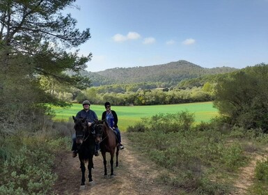 Mallorca: Activity with Horses, Antique Mallorca