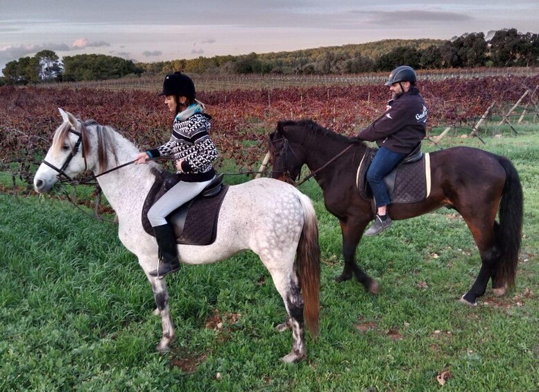 Picture 3 for Activity Mallorca: Activity with Horses, Antique Mallorca