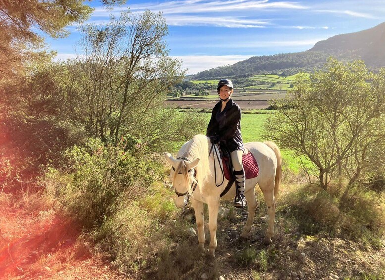 Picture 5 for Activity Mallorca: Activity with Horses, Antique Mallorca