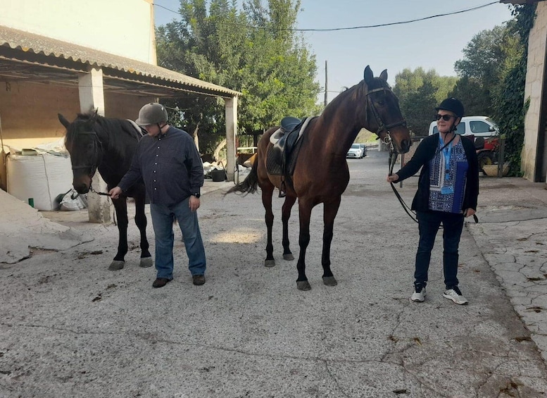 Picture 8 for Activity Mallorca: Activity with Horses, Antique Mallorca