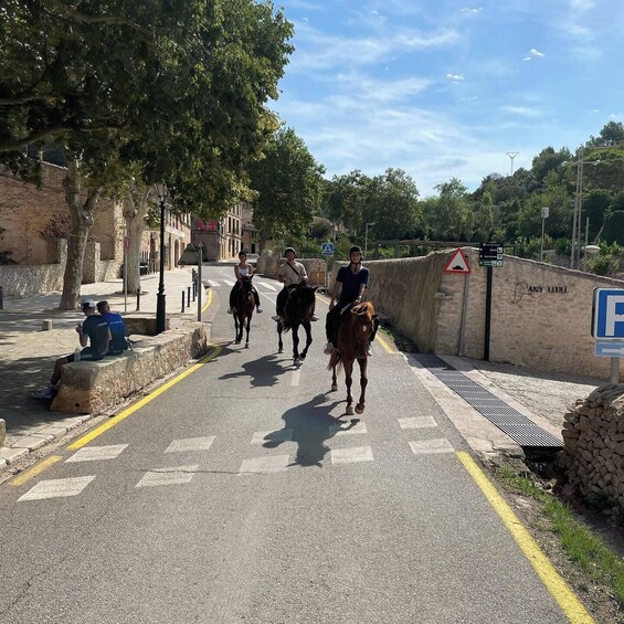 Picture 9 for Activity Mallorca: Activity with Horses, Antique Mallorca