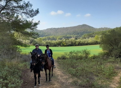 Mallorca: Activity with Horses, Antique Mallorca