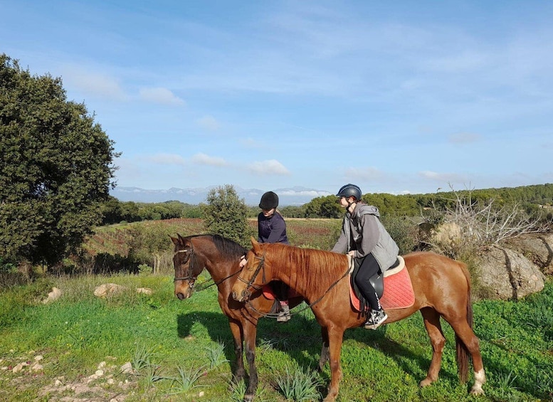 Picture 2 for Activity Mallorca: Activity with Horses, Antique Mallorca