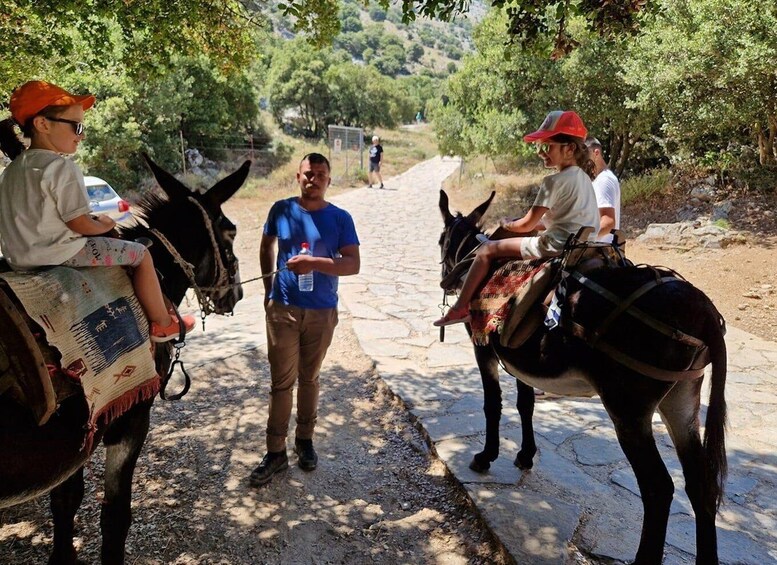 Picture 4 for Activity Malia: Lasithi Plateau Zeus Cave Guided Tour