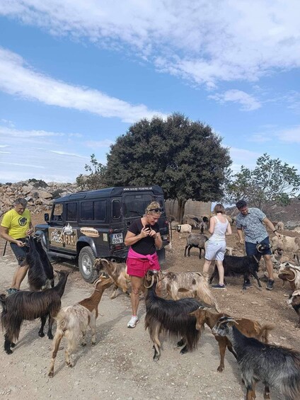 Picture 5 for Activity Malia: Lasithi Plateau Zeus Cave Guided Tour