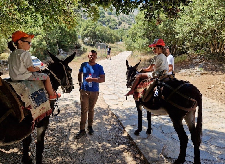 Picture 4 for Activity Malia: Lasithi Plateau Zeus Cave Guided Tour