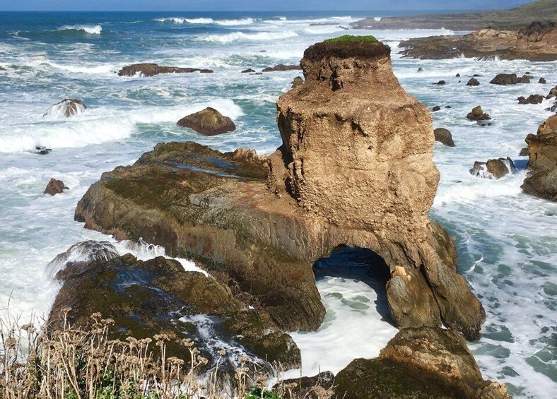 Picture 8 for Activity Santa Maria - Monterey: Pacific Coast Self-Driving Tour App