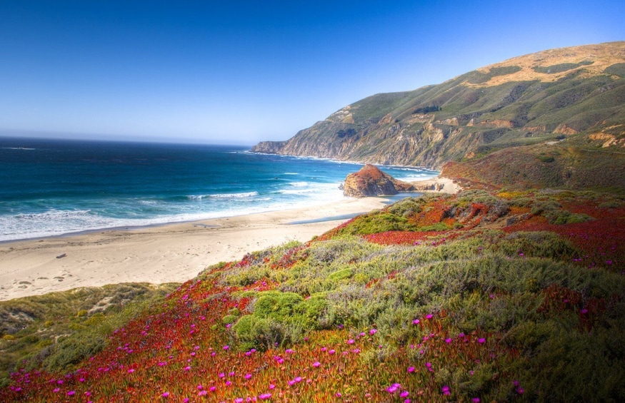 Picture 12 for Activity Santa Maria - Monterey: Pacific Coast Self-Driving Tour App