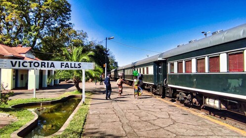 Victoria Falls: Private historische Stadtrundfahrt + Buschwanderung