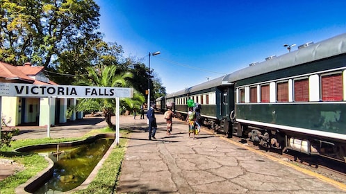 Victoria Falls : Visite historique privée de la ville + Promenade bush