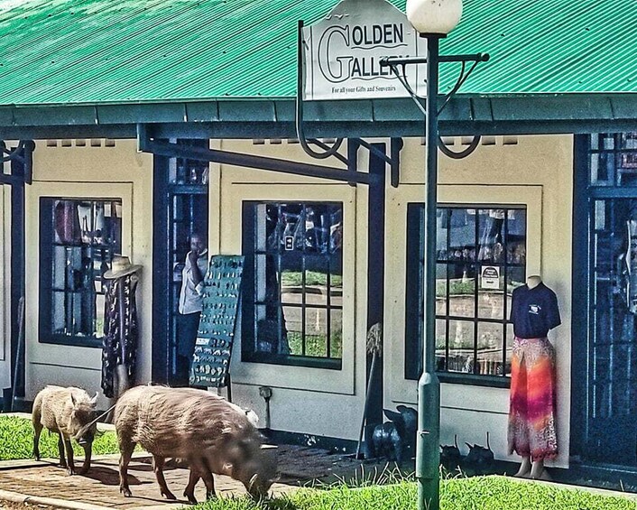 Picture 4 for Activity Victoria Falls: Private Historic Town Tour + Bush Walk