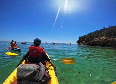 Arrábida Marine Reserve: Kayaking & Snorkelling Tour