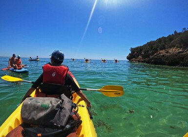 Arrábida Marine Reserve: Kayaking & Snorkeling Tour