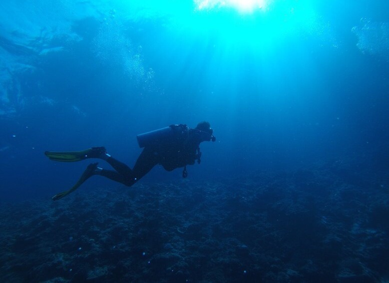 Picture 3 for Activity Scuba Diving at Dusk in Mirissa